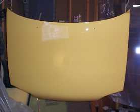 Painted Hood